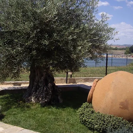 Relaks W Marina Cape 88 *